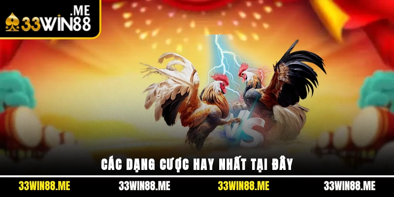 Các dạng cược hay nhất tại đây