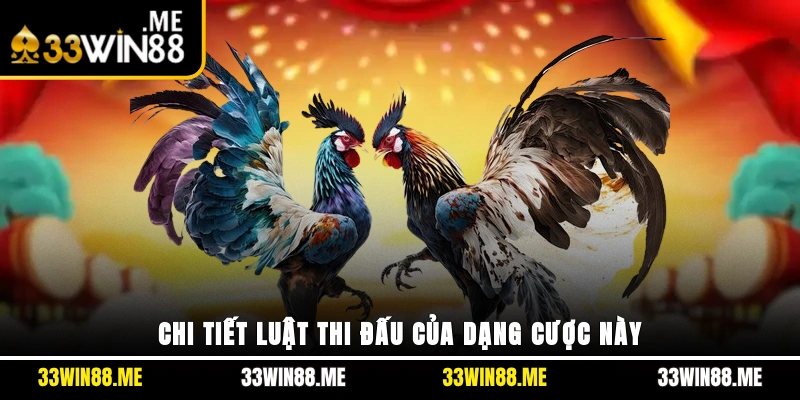 Chi tiết luật thi đấu của dạng cược này