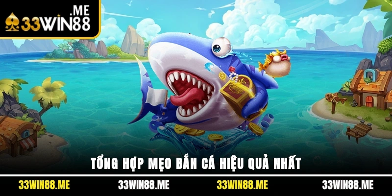 Tổng hợp mẹo bắn cá hiệu quả nhất